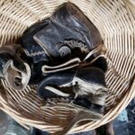 old_old_baby_shoes_5_19