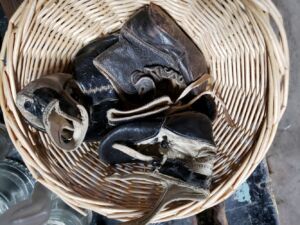 old_old_baby_shoes_5_19