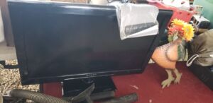 flatscreen_TV_2_20