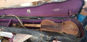 violin_5_2021