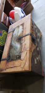 trunk_5_2-21