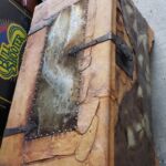 trunk_5_2-21