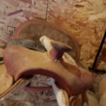 saddle-6_2021