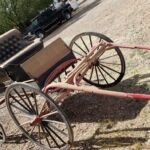doctor_buggy_6_2021