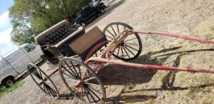 doctor_buggy_6_2021