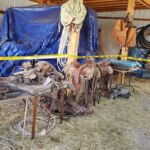 saddles_tack_6_2021