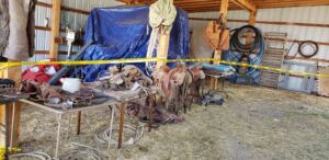 saddles_tack_6_2021