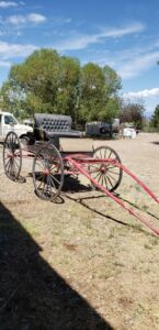 buggy_6_2021