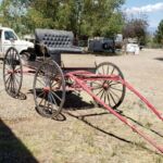 buggy_6_2021