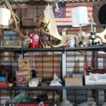 elk_horns_8_21