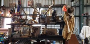 horns_8_21