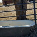 feeder_2022