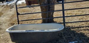 feeder_2022