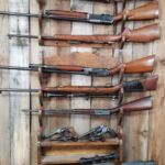 firearms_2_2022