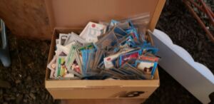 baseball_cards_5_2022