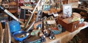 collector_5_2022