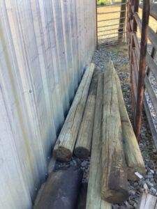 Treated_posts_0623