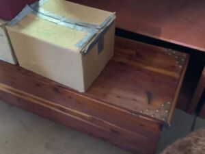 Cedar_chest_2023