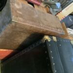 Trunks_2023