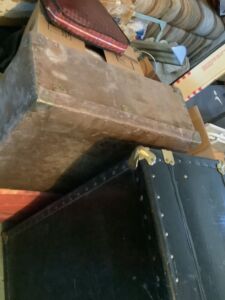 Trunks_2023