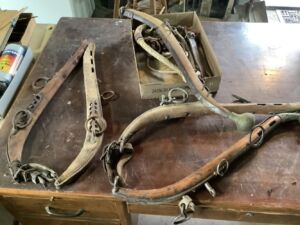 collar_hames_3_25