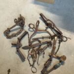 Old_traps_23