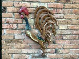 Rooster_9_24