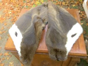 Fur_stole_24