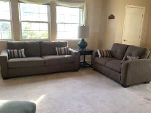 Sofa_loveseat_11_24