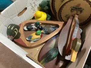 Ducks_1_25