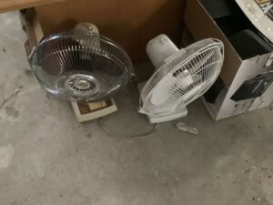 Fans_5_25