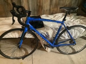 Blue_bike_25