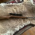 22_rifle_2026