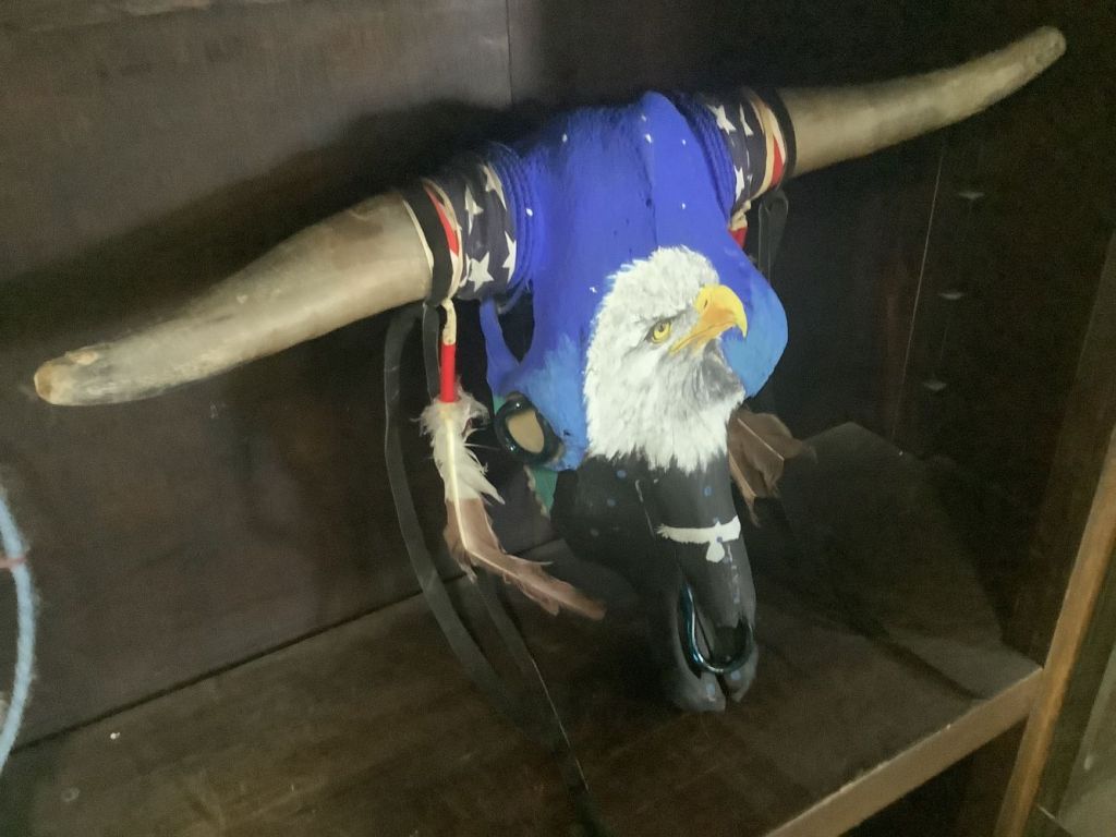 Painted_cow_skull_4_26