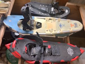 Snowshoes _4_26