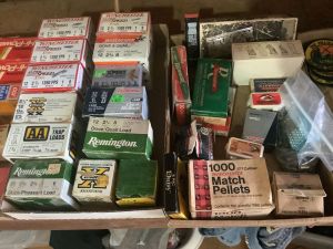 Bb_pellets_6_26