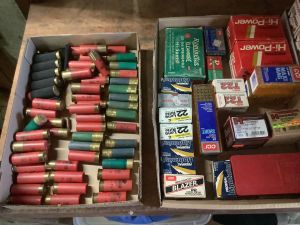 Loose_shotgun_shells_6_26