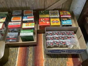 Shotgun_shells_6_26