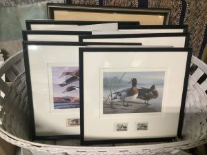 Duck_stamps_6_26