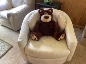Fozzi_bear_9_26