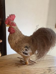 Rooster_9_26