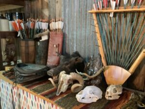 Wild_boars_head_8_25