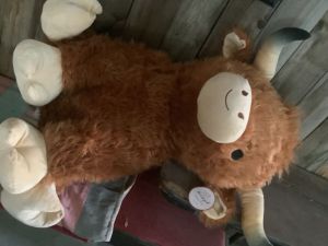 Stuffed_steer_1_26