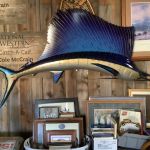 Trophy_sailfish_3_26