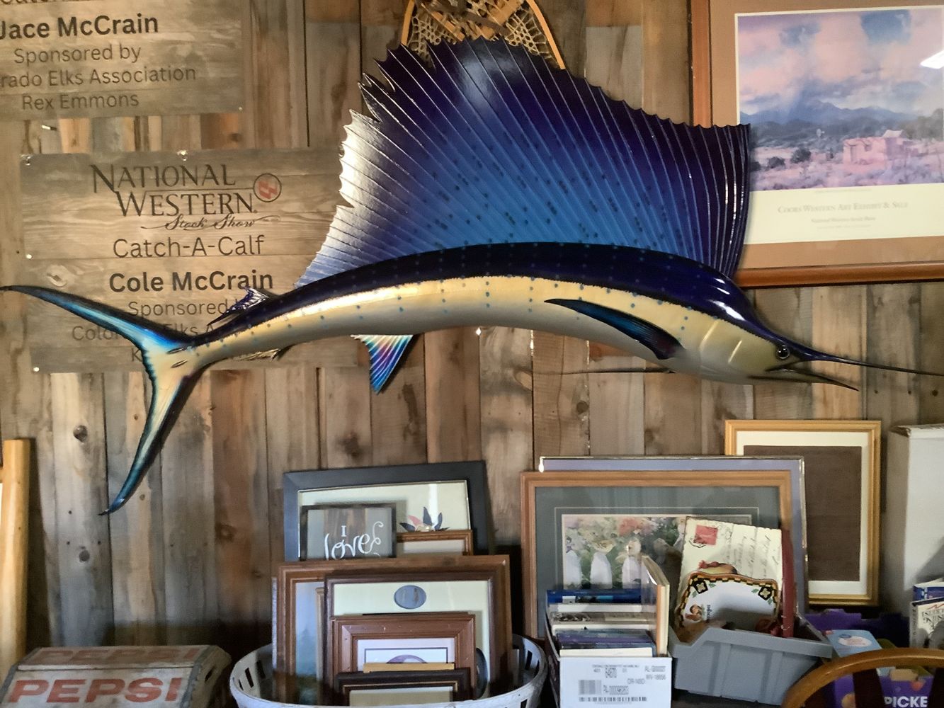 Trophy_sailfish_3_26