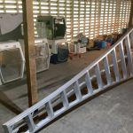 Orchard_ladder_5_26