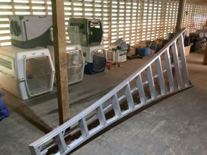 Orchard_ladder_5_26
