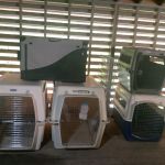 Dog_kennels_5_26
