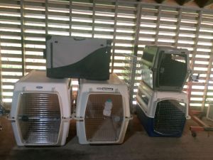 Dog_kennels_5_26