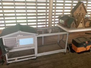 Pet_cage_5_26
